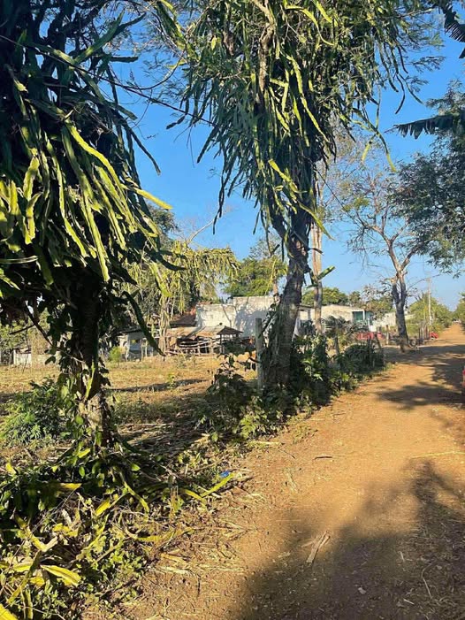 Đất thổ cư Km 44 Quốc lộ 26, 280m² chỉ 300 triệu - Cơ hội đầu tư tốt!