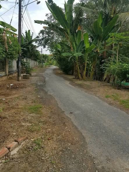 Bán nhà vườn 2 mặt tiền tại xã Vĩnh Trạch, Thoại Sơn, An Giang - Diện tích 612m², giá 1 tỷ thương lượng!