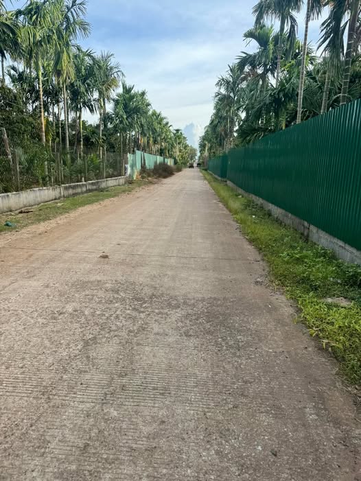 Đất sào Tân An Buôn Ma Thuột 4200m² - Cơ hội đầu tư sinh lời mạnh mẽ!