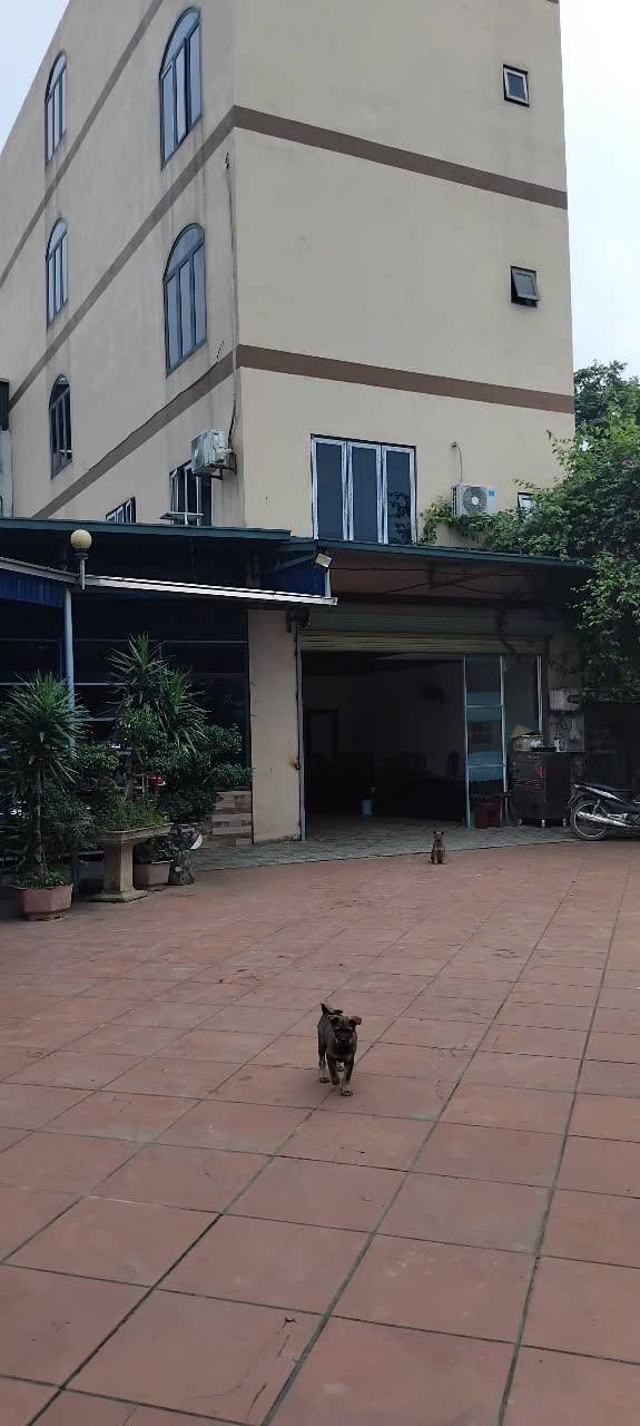 Khách sạn 5 tầng Tân Vinh 1000m² giá 8 tỷ - Đầu tư sinh lời ngay lập tức!