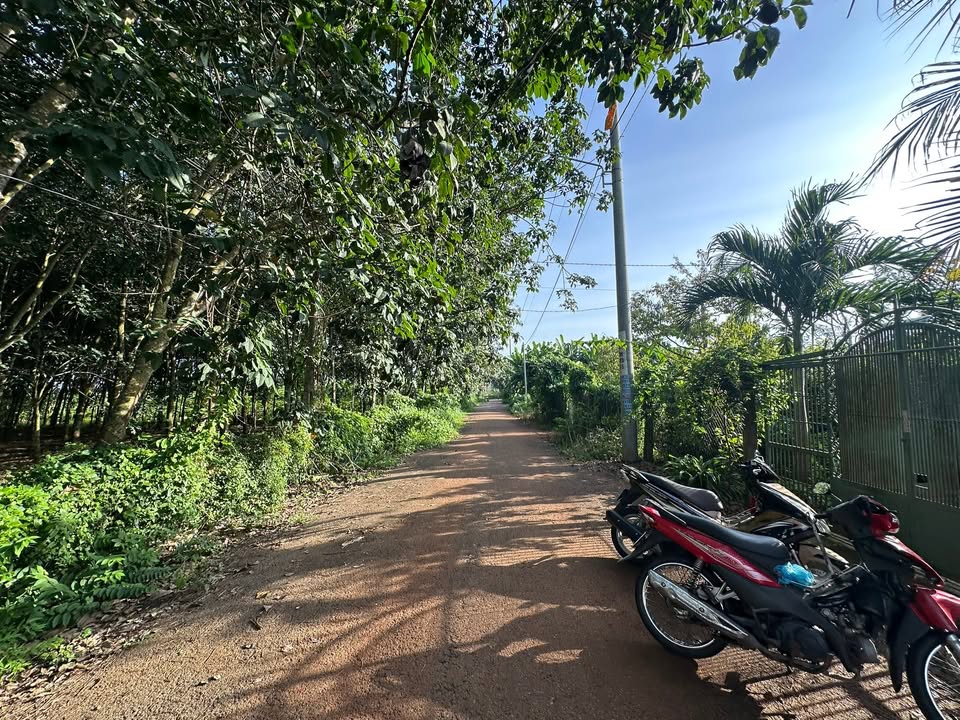 Lô đất 960m² tại phường Tam Long - Bà Rịa, giá chỉ 2.6 tỷ - Sẵn sàng đầu tư!