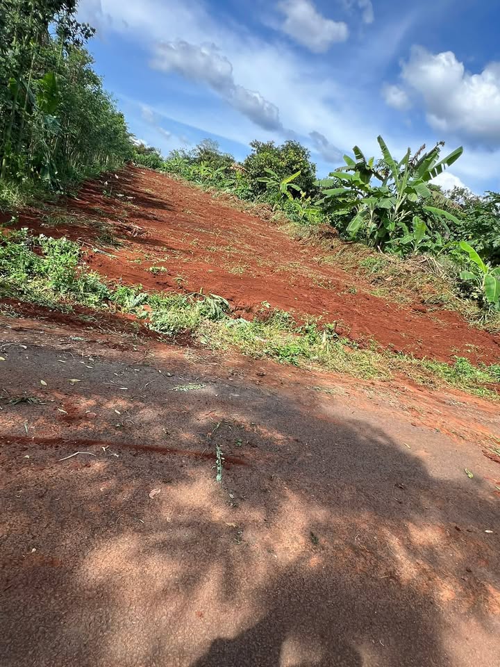 Đất nền Bàu Chinh, Châu Đức 180m² giá 630 triệu - Đầu tư sinh lời ngay!