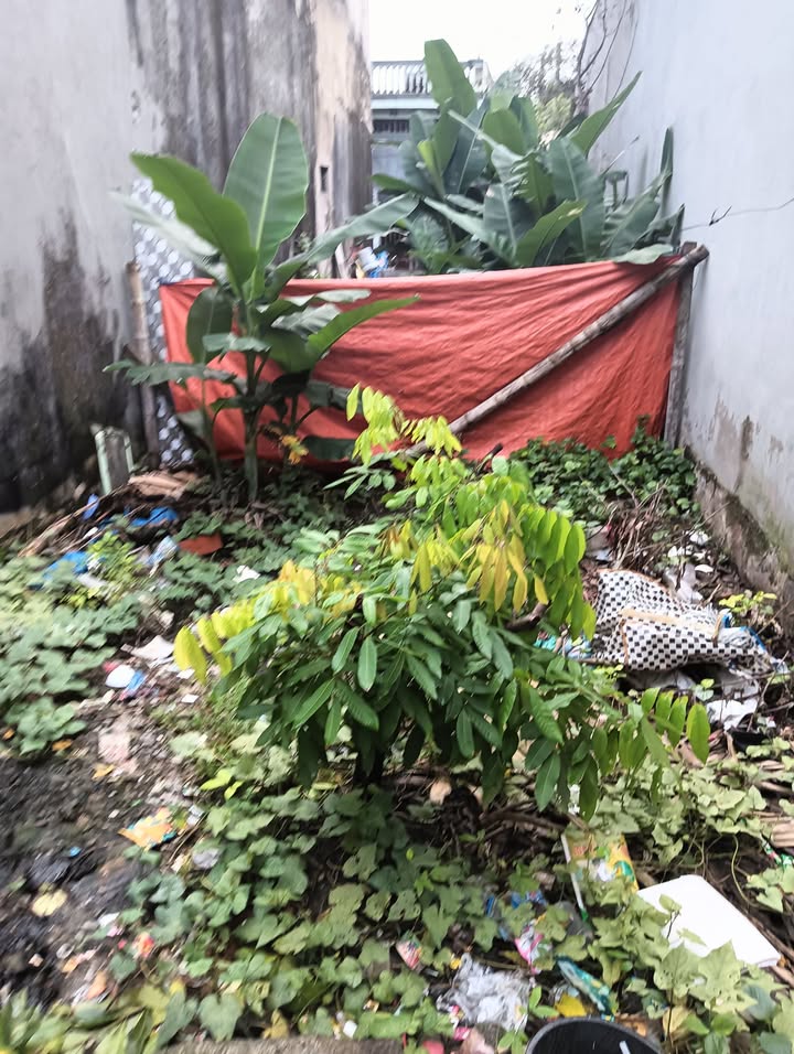 Bán lô đất đẹp ngõ Nguyễn Trãi, phường Hạc Thành, 70m² giá 1 tỷ - Ô tô vào tận đất!