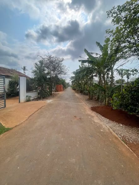 Đất nền Ea Tu - Buôn Ma Thuột 220m² giá 1.58 tỷ - Cơ hội đầu tư tiềm năng!