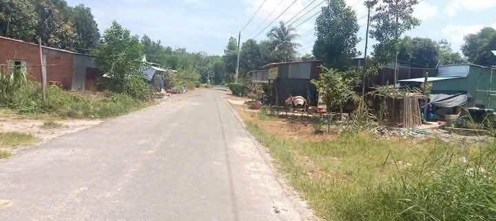 Đất thổ cư Tân Đông 1, Tân Lập 1800m² - Giá chỉ 1.8 tỷ, Cơ hội đầu tư tuyệt vời!