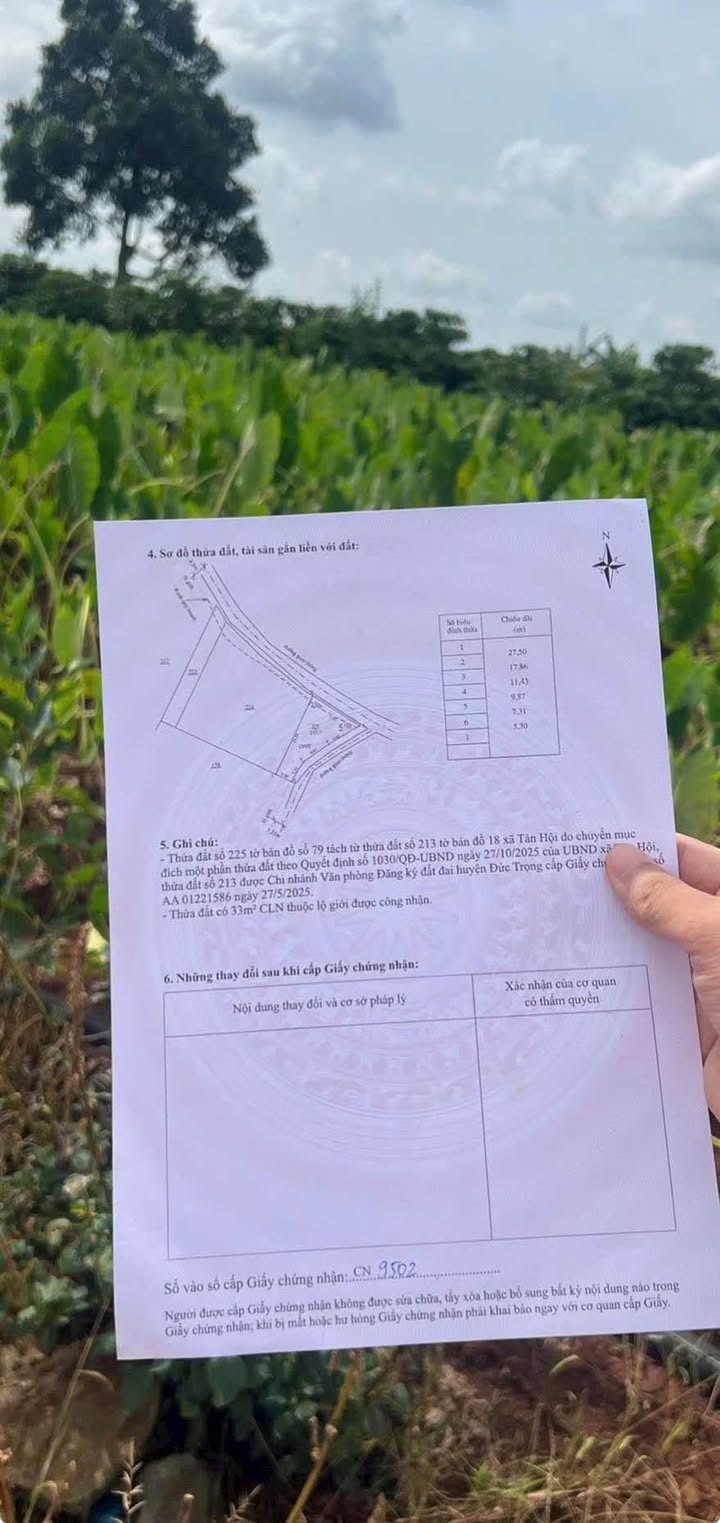 Đất nền Tân Hội 459m² giá 600 triệu - Sổ đỏ chính chủ, vị trí đẹp!