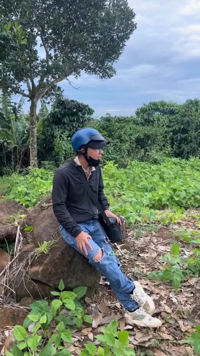 Lô đất vườn 5.200m² Tân Nghĩa, Di Linh - Đầu tư sinh lời tuyệt vời!