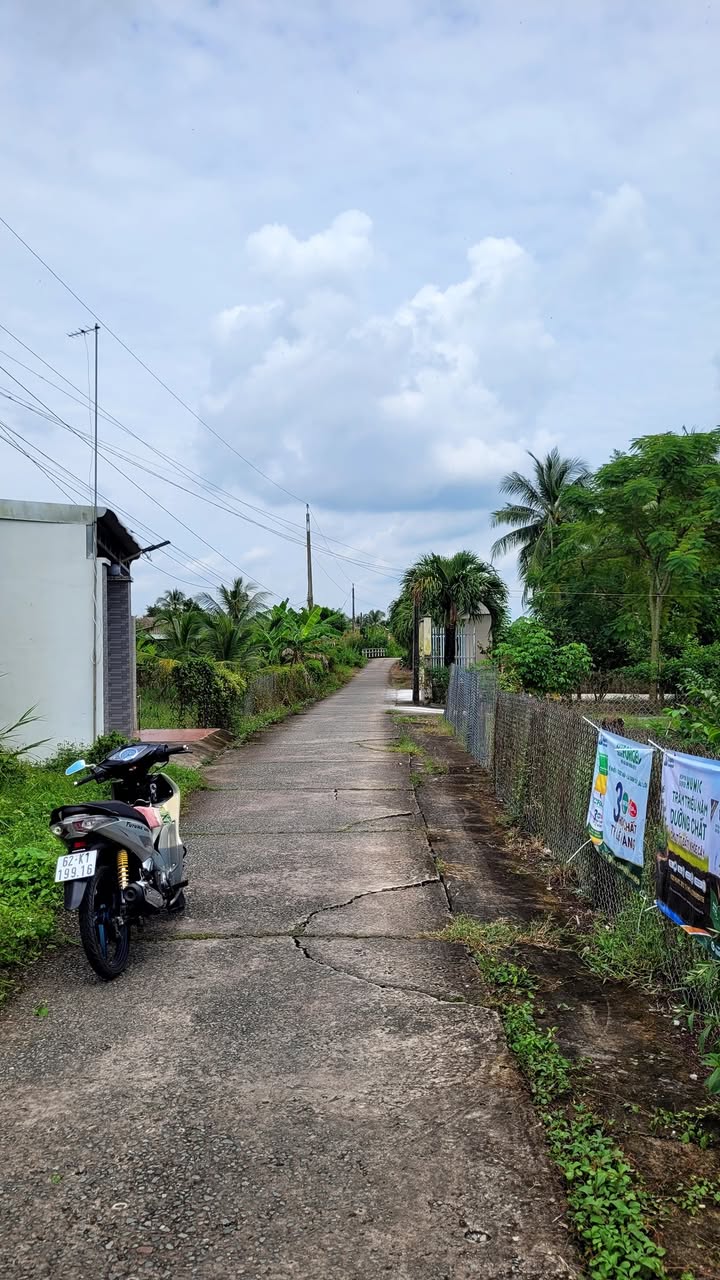 Đất thổ cư Hiệp Thạnh, Châu Thành, Long An 250m² giá 650 triệu - Đầu tư sinh lời ngay!