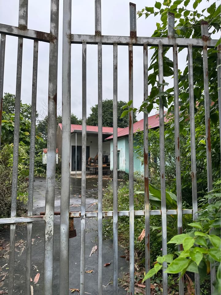 Đất nền Nhuận Trạch Lương Sơn 667m² - Vị trí đắc địa gần khu công nghiệp!