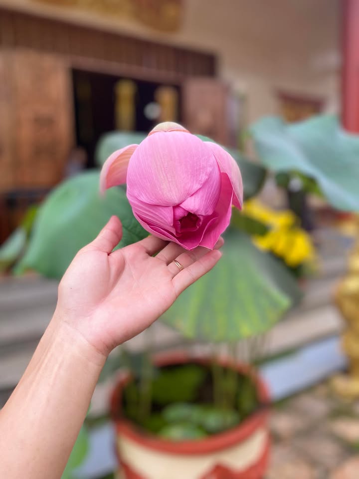 Đất nền 150m² Phước Thới, Cần Thơ chỉ 300 triệu - Cơ hội đầu tư tuyệt vời!