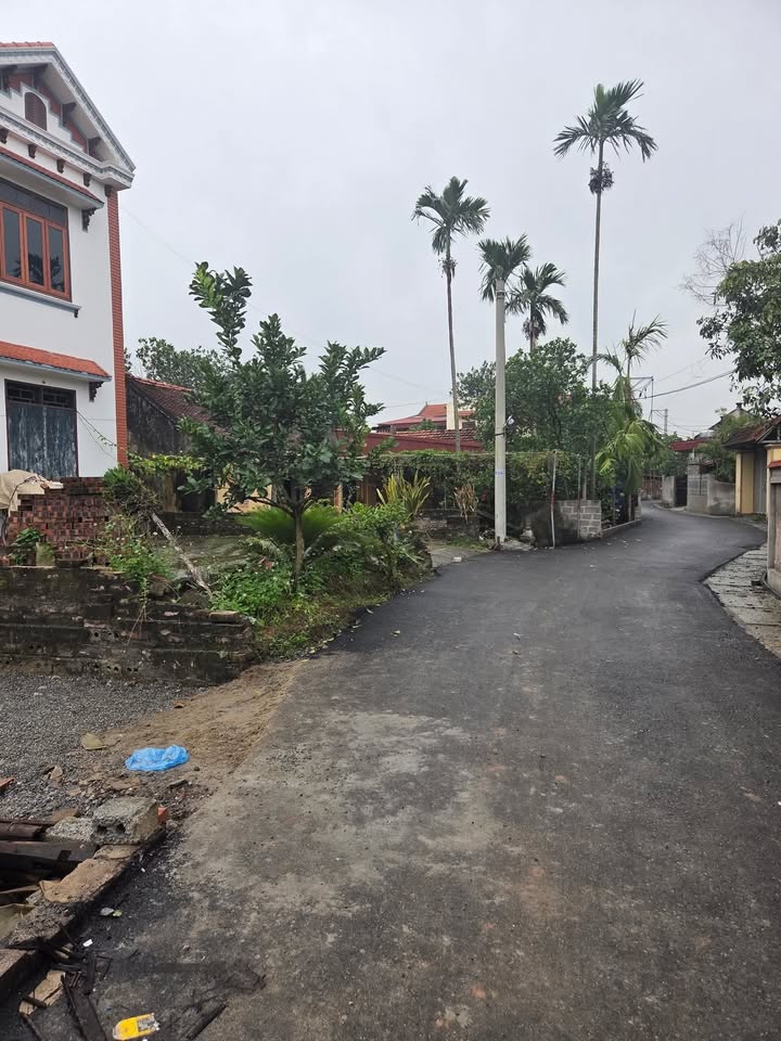 Đất nền mặt tiền 10m tại xã Tân Hưng, Hưng Yên - Giá chỉ 2 tỷ!