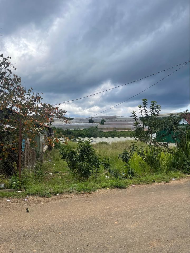 Đất mặt tiền Liên Thôn Đạ Sar, Lạc Dương 656m² giá 4.7 tỷ - Đầu tư sinh lời ngay!