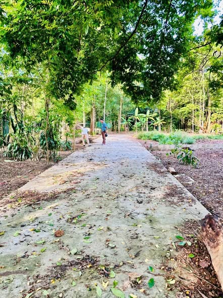 Đất nền 100m² tại Thủy Xuân, Huế - Đầu tư lý tưởng chỉ 1.55 tỷ!