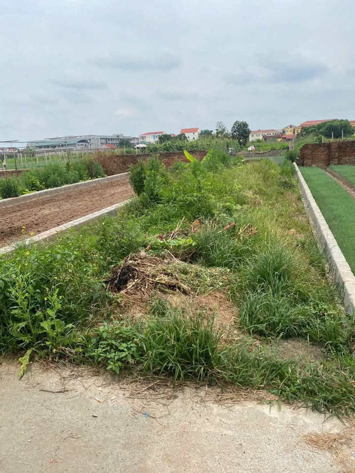 Đất nền Chương Dương Thường Tín 68m² giá 2 tỷ - Đầu tư sinh lời ngay!