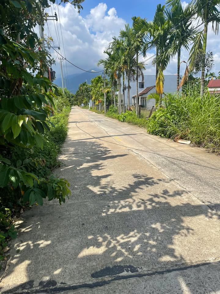 Đất nhà vườn Hòa Phú Hòa Vang 500m² giá 3 tỷ - Sổ đỏ chính chủ, vị trí đẹp!