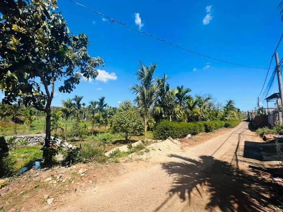 Lô đất Tân Lập 125m² giá 1.1 tỷ - Vị trí đắc địa, thuận tiện kinh doanh!