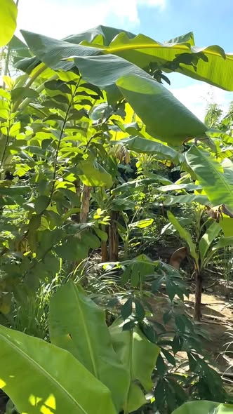 Đất nền đường N4 KDC mới Trường An, Vĩnh Long 85,5m² - Giảm ngay 100 triệu!