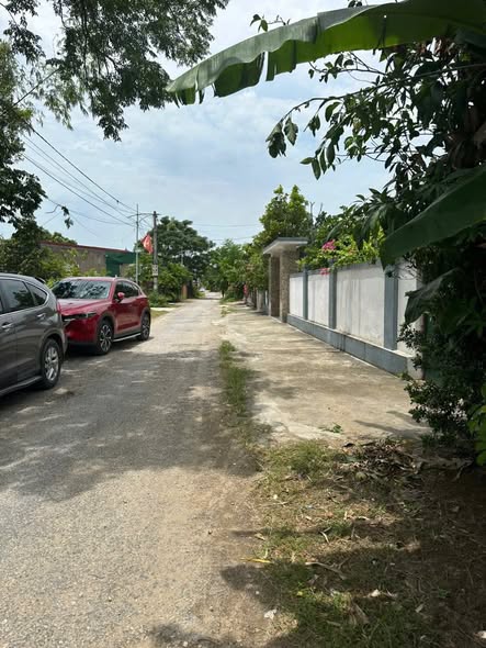 Đất nền Nghi Thái 84m² giá chỉ 1.000 tỷ - Vị trí đắc địa gần ĐH Y Vinh