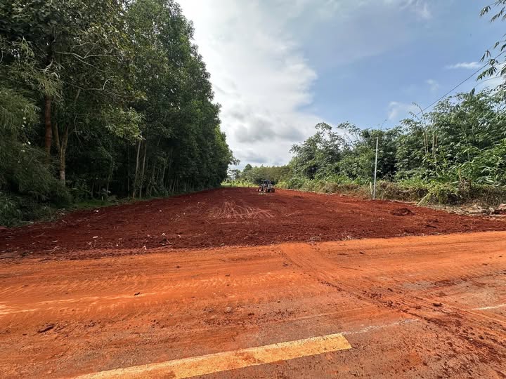 Đất 1 sào 8 mặt tiền đường nhựa Long Phước giá 6 tỷ - Thương lượng chính chủ!