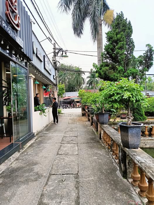 Đất tự khoáng Ngũ Hiệp 61m² giá 6 tỷ - Cơ hội đầu tư hấp dẫn!