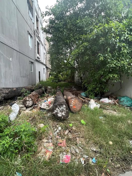 Đất nền KDC Hà Đô, Thới An 93m² giá 8 tỷ - Sổ đỏ chính chủ, đầu tư sinh lời!