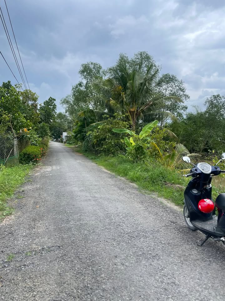 Đất nền thổ cư Mỹ Thuận, Vĩnh Long 154m² giá 390 triệu - Cơ hội đầu tư hấp dẫn!