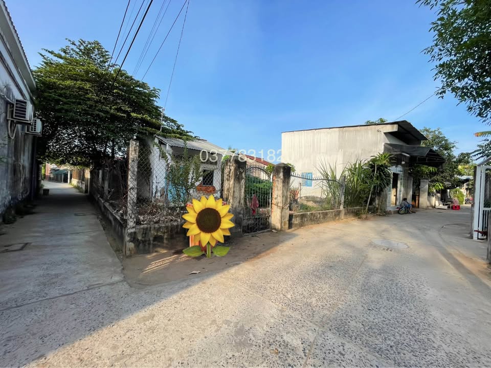 Đất 2 mặt tiền ĐANL P8 gần chung cư Bác Sĩ 242m² giá 1.5 tỷ - Cơ hội đầu tư sinh lời!