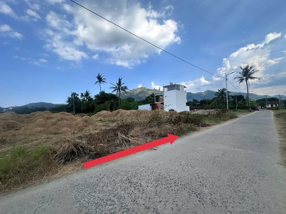 Đất mặt tiền Rọc Cây Duối, xã Diên An, 145m² - Sổ đỏ chính chủ, giá tốt!