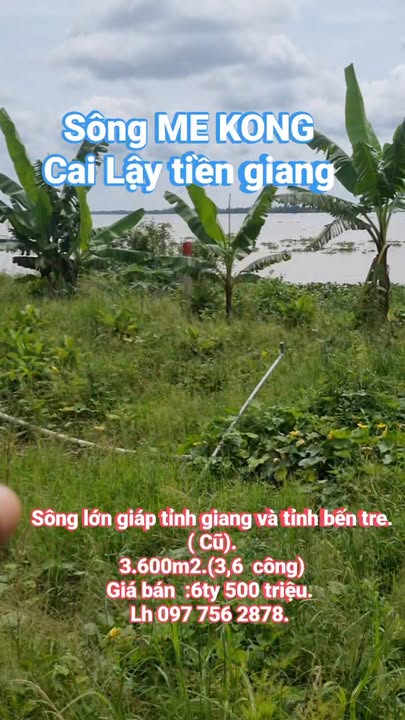 Đất mặt tiền huyện lộ 70, xã Ngũ Hiệp, huyện Cai Lậy, 3600m² giá 6.5 tỷ - Đầu tư sinh lời ngay!