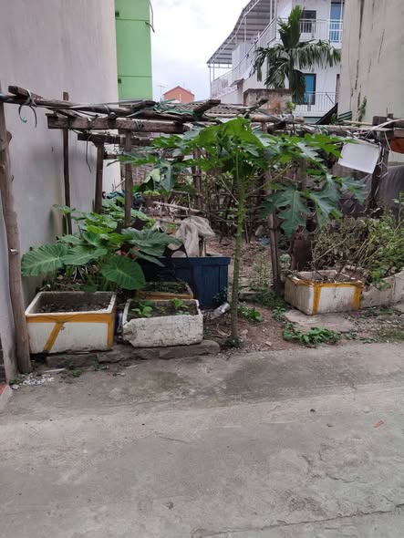 Đất phân lô Que Hàn, Thường Tín 40m² giá 5 tỷ - Vị trí đắc địa, ô tô vào tận nơi!