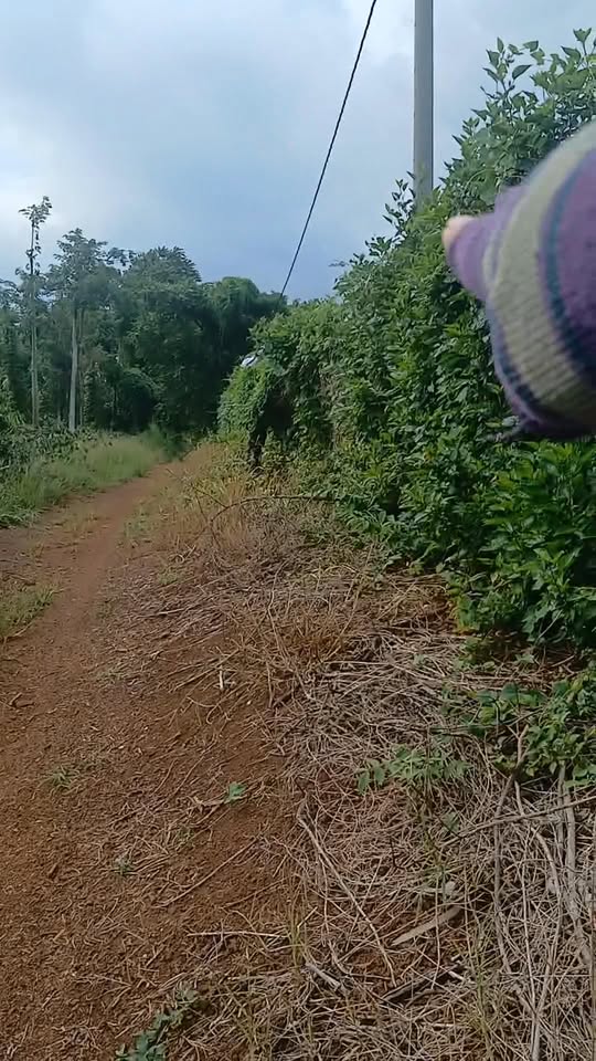 Đất nền 4,7 sào tại xã Lâm San, huyện Cẩm Mỹ - Giá chỉ 6 tỷ đồng!