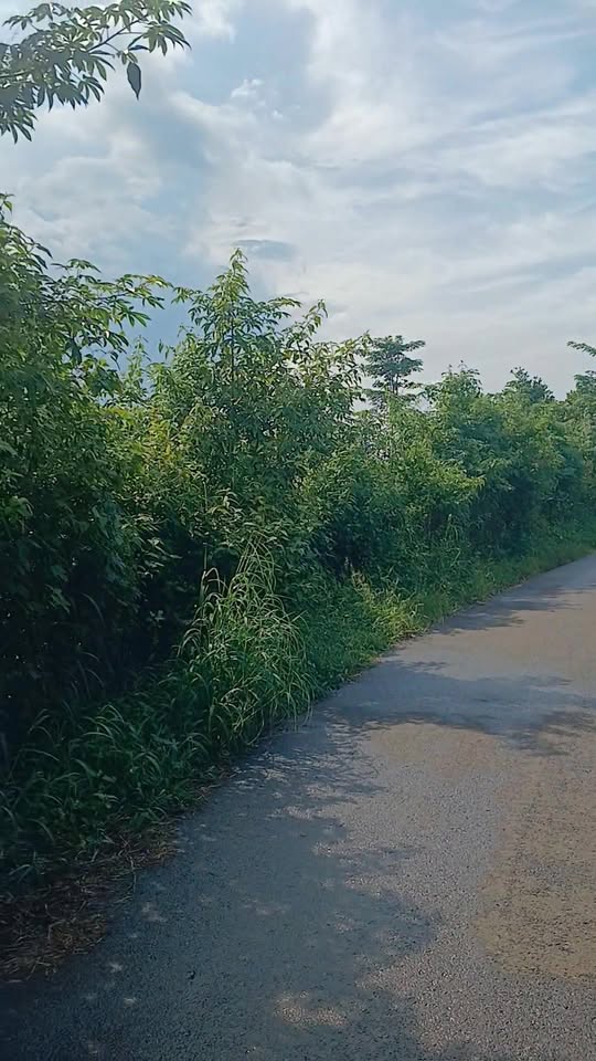 Đất nền xã Lâm San, Cẩm Mỹ, 70000m² - Giá chỉ 5 tỷ, đầu tư sinh lời!