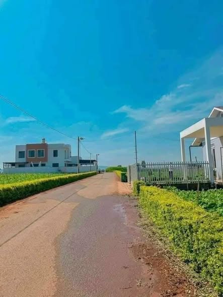 Đất nền Bồng Lai, Hiệp Thạnh, Đức Trọng 182m² giá 1.4 tỷ - Cơ hội đầu tư tuyệt vời!