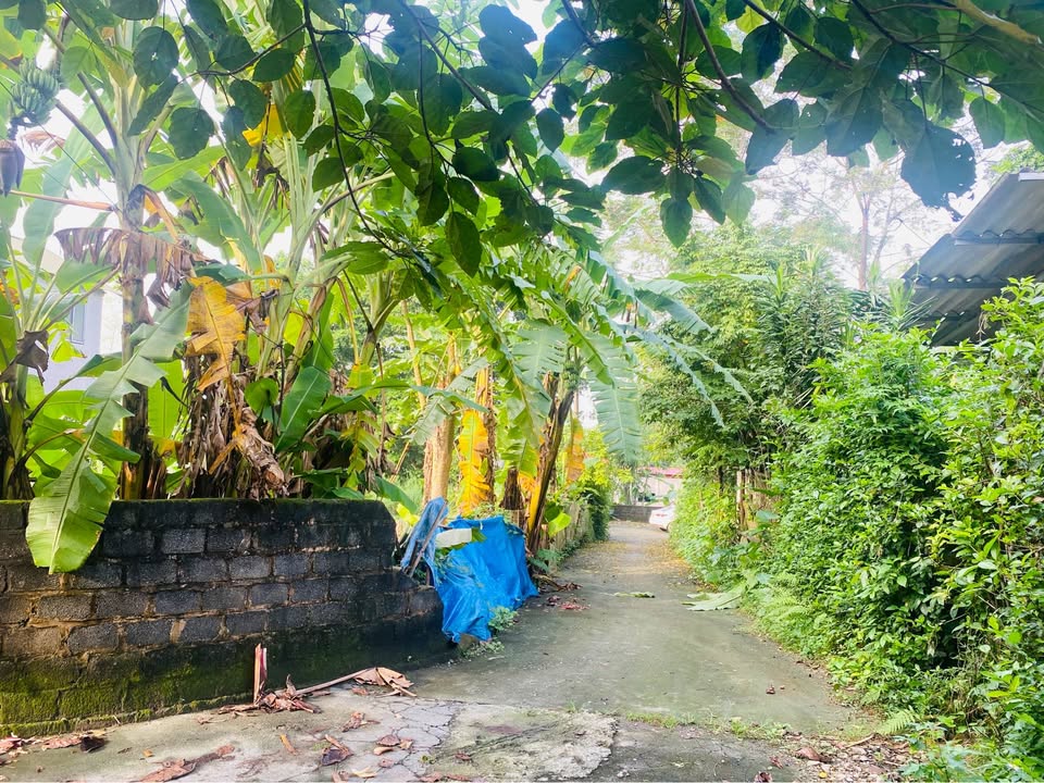 Đất Hợp Hòa Lương Sơn 2650m² giá 6.486 tỷ - Cơ hội đầu tư sinh lời cao!