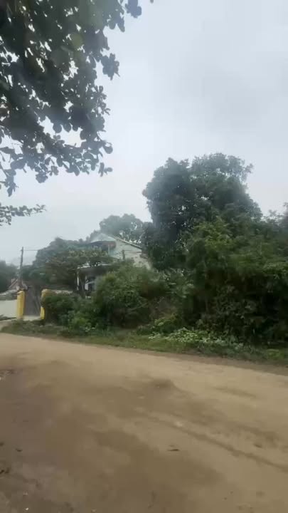 Đất nền 115m² xã Gia Sinh, huyện Gia Viễn, Ninh Bình - Bán gấp giá thỏa thuận!