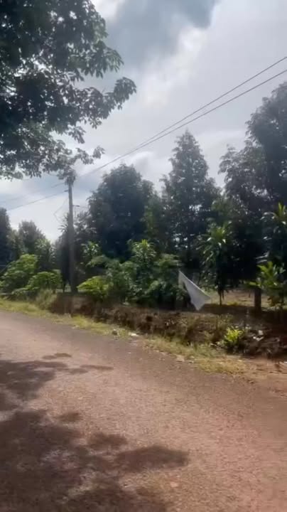 Đất nền Phước Tân, Phú Riềng 70.000m² - Đầu tư sinh lời ngay!