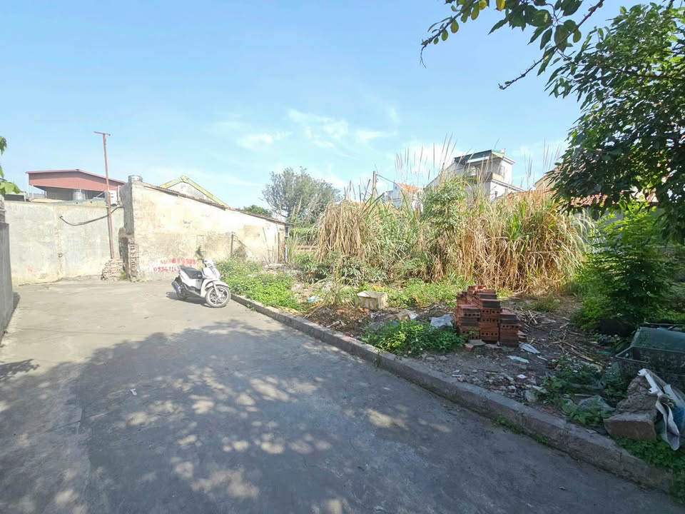 Bán đất chính chủ tại Khu Bình Sơn, Cẩm Sơn - Diện tích 65m² chỉ 700 triệu!