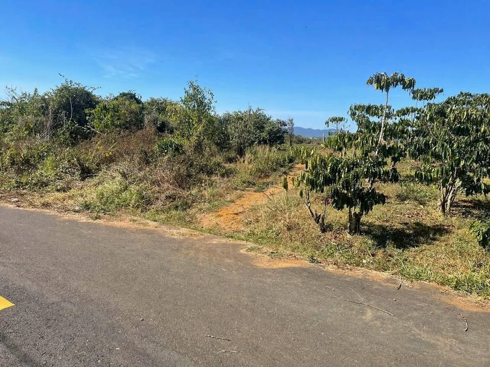 Đất thổ cư Bảo Lộc 513m² giá 3 tỷ - Cơ hội đầu tư hấp dẫn!