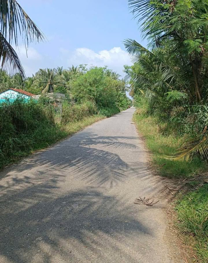 Đất nông nghiệp Mỹ Chánh, Ba Tri, Bến Tre 2700m² - Giá chỉ 810 triệu, tiện ích đầy đủ!