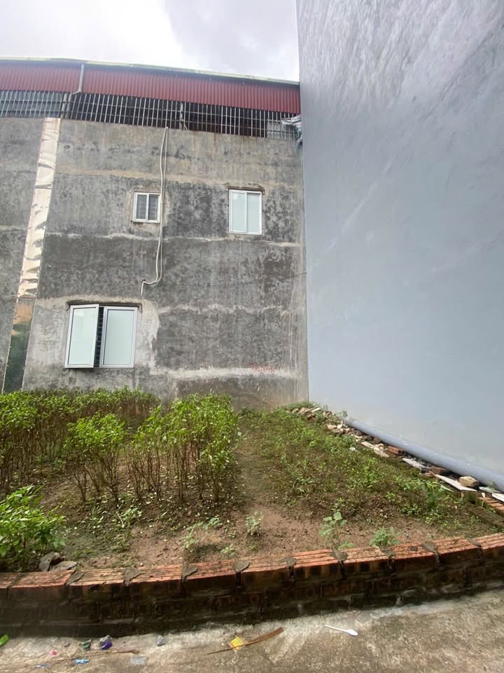 Đất Cổ Bi Gia Lâm 78m² giá 6.45 tỷ - Ô tô tránh, tiện ích đầy đủ!