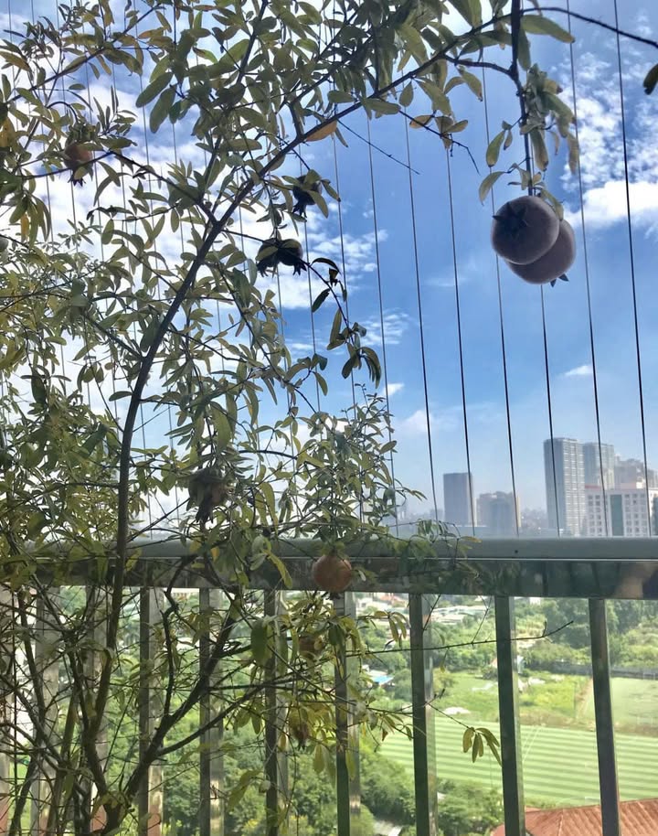 Chung cư 3 phòng ngủ B3B Nam Trung Yên 110m² giá 10 triệu - Vào ở ngay!