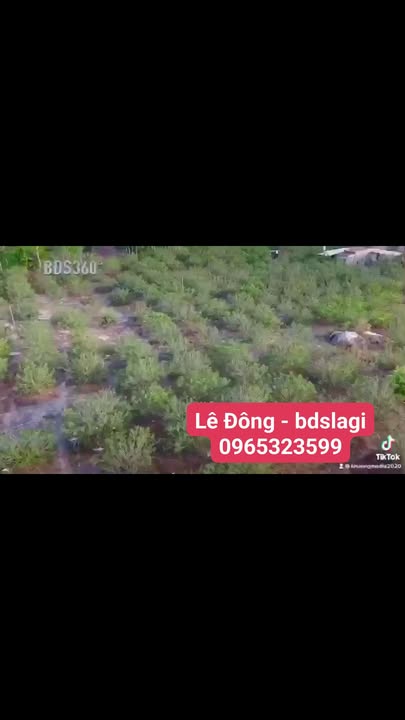 Đất nông nghiệp xã Tân Minh, Hàm Tân 6 hecta - Tặng nhà cấp 4!