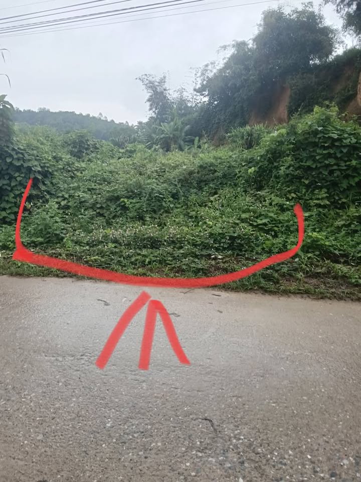 Đất nền kinh doanh Đoan Hùng Phú Thọ 800m² giá thỏa thuận - Mặt đường thuận lợi!