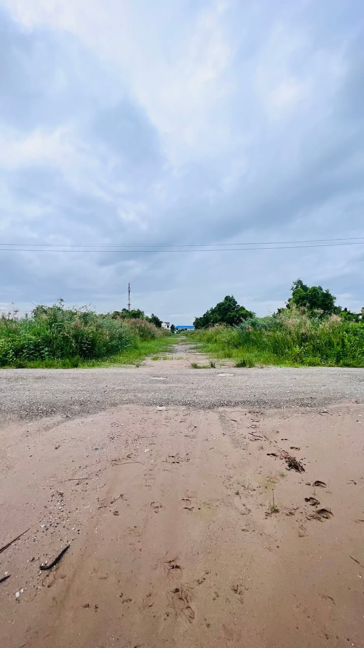 Đất nền Licogi An Xuyên 100m² giá 1.3 tỷ - Đầu tư sinh lời ngay!