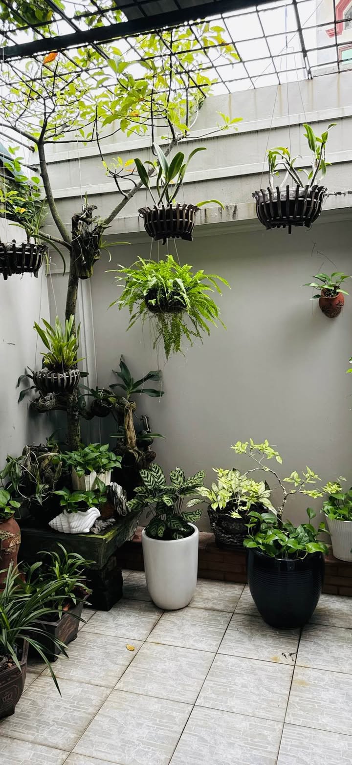 Nhà phố kinh doanh 3 tầng Uông Bí 300m² - Vị trí đắc địa, sinh lời cao!