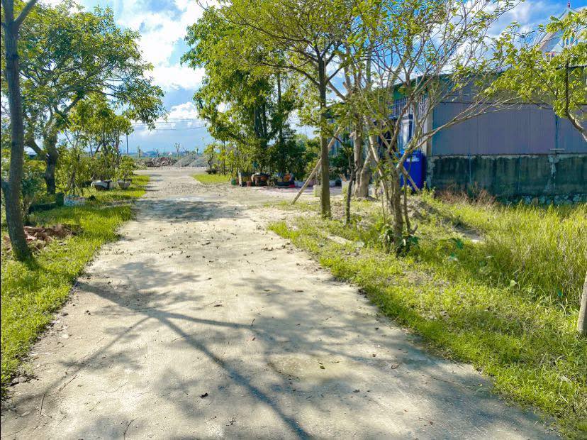 Đất bán lối 2 QL8C, Cẩm Thăng 200m² giá 1.8 tỷ - Đầu tư sinh lời!