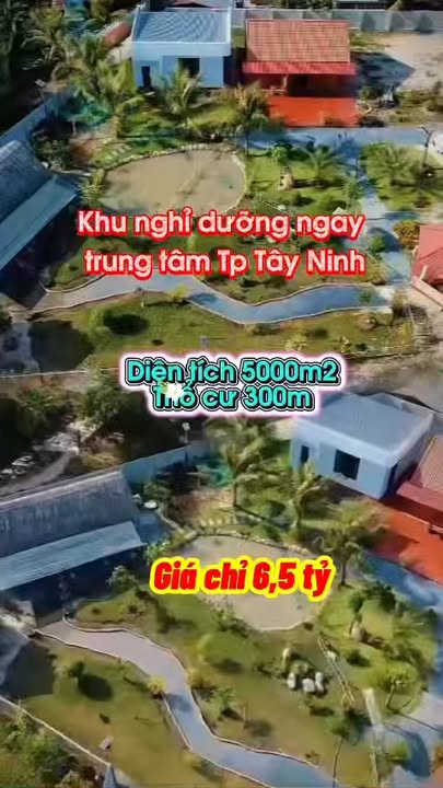 Đất vườn nghỉ dưỡng Ninh Phúc, Tây Ninh 4.962m² giá 6.5 tỷ - Tiềm năng đầu tư lớn!