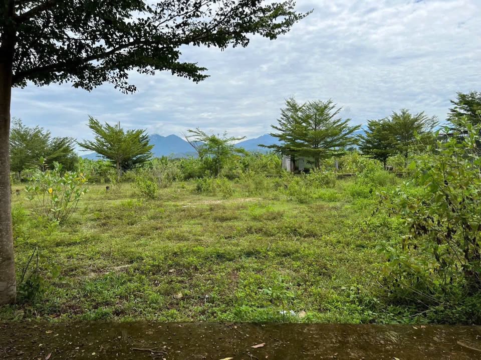 Đất thổ cư Diên Hòa 85m² giá thỏa thuận - Mặt tiền đường bê tông