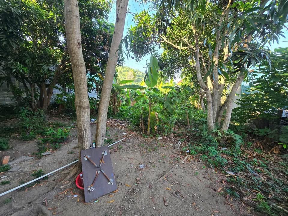 Đất nền Vĩnh Phương Nha Trang 500m² giá 999 triệu - Đầu tư sinh lời ngay!