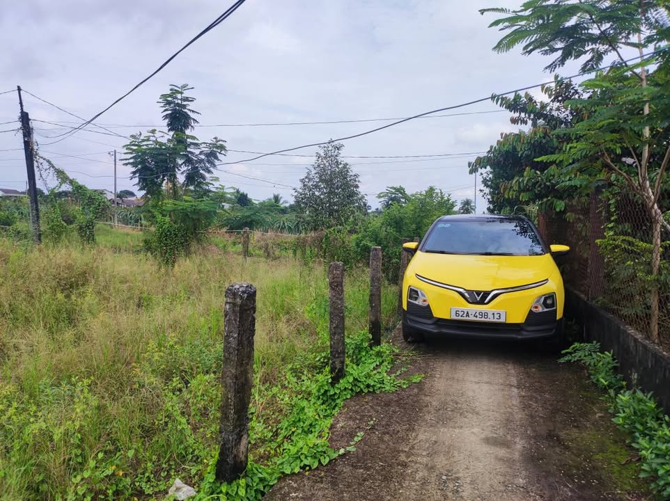 Đất nền 2 mặt tiền Phú Ngãi Trị 1000m² giá 650 triệu - Cơ hội đầu tư hấp dẫn!